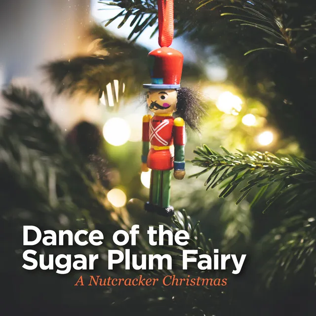 Tchaikovsky: The Nutcracker, Op. 71, Act I, Scene 1: No. 1, Decoration of the Christmas Tree