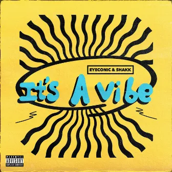 it's a vibe by Shakk