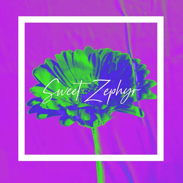 Sweet Zephyr