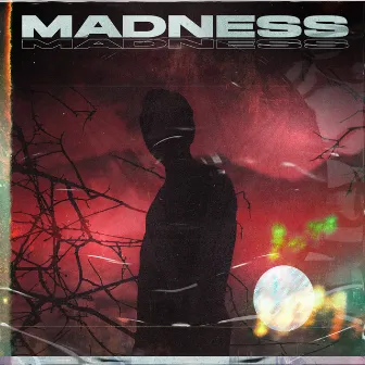 Madness by Extiler