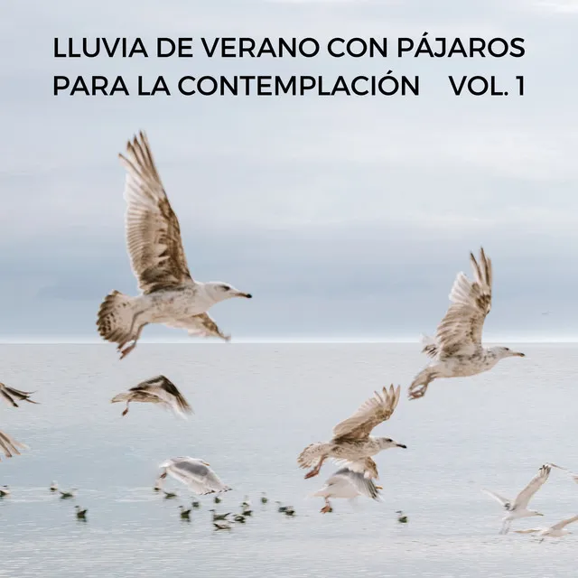 Lluvia De Verano Con Pájaros Para La Contemplación Vol. 1