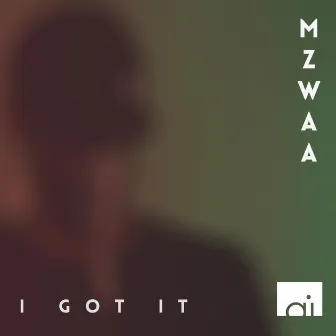 I Got It by Mzwaa