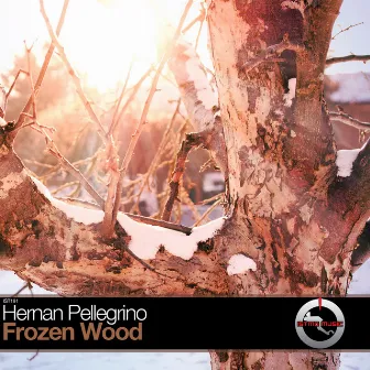 Frozen Wood by Hernan Pellegrino