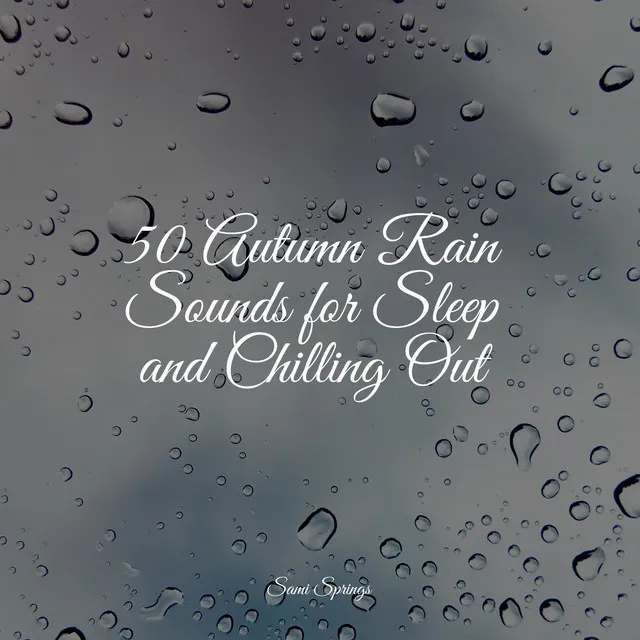 50 Autumn Rain Sounds for Sleep and Chilling Out