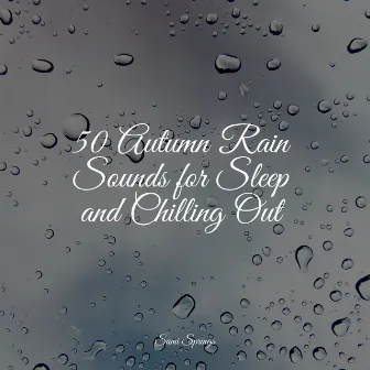 50 Autumn Rain Sounds for Sleep and Chilling Out by Meditation Rain Sounds