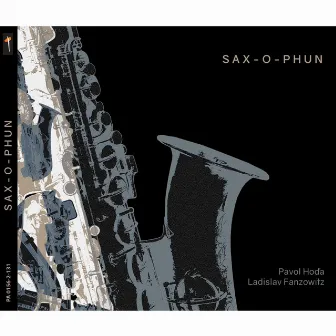 Sax-o-phun by Ladislav Fanzowitz