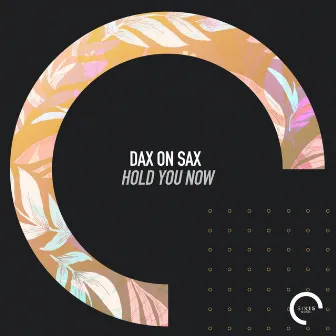 Hold You Now (Radio Edit) by Dax On Sax