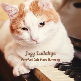 Jazz Lullabye: Purrfect Cats Piano Harmony by Hotel Lobby Jazz Music