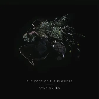 The Code of the Flowers by Ayla Nereo