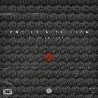 One in a Billion by T Dot