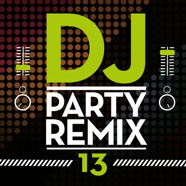 DJ Party Remix, Vol. 13