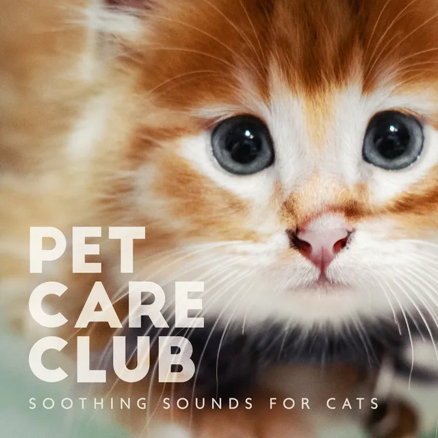 Pet Care Club - Soothing Sounds for Cats, Relaxing Music for Kittens, Stress Relief Therapy, Calm Your Canine Companion