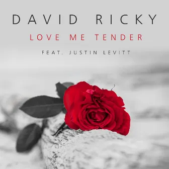 Love Me Tender by David Ricky