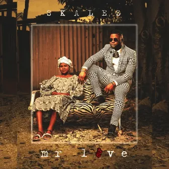 Mr Love by Skales