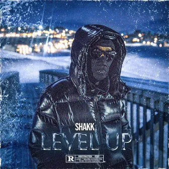 Level Up by Shakk