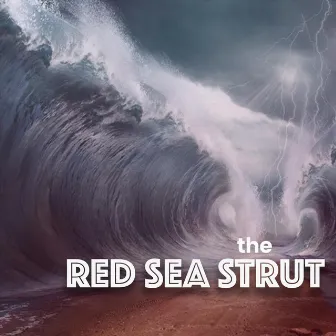 The Red Sea Strut by Beth Schafer