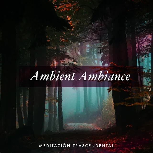 Ambient Ambiance