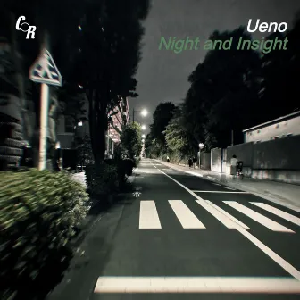 Night and Insight by Ueno