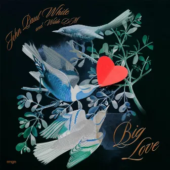 Big Love by John Paul White