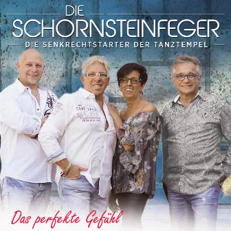 Das perfekte Gefühl by Die Schornsteinfeger