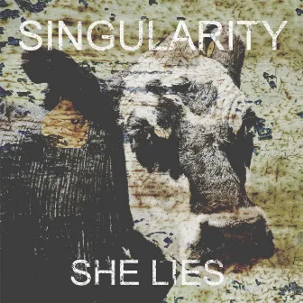 She Lies by Singularity