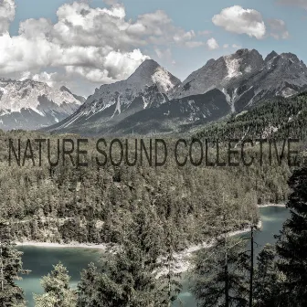 Nature Sound Collective by Nature Love Sound Collective