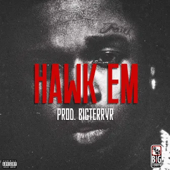 Hawk em by BigTerryR