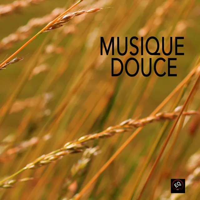 Musique Douce Ensemble