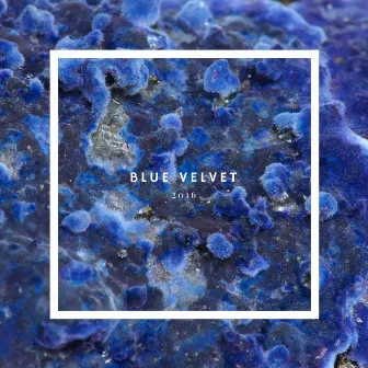 Blue Velvet by Shy Lennox