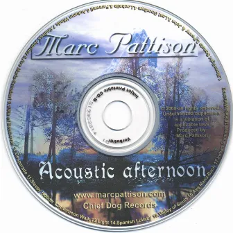 Acoustic Afternoon by Marc Pattison