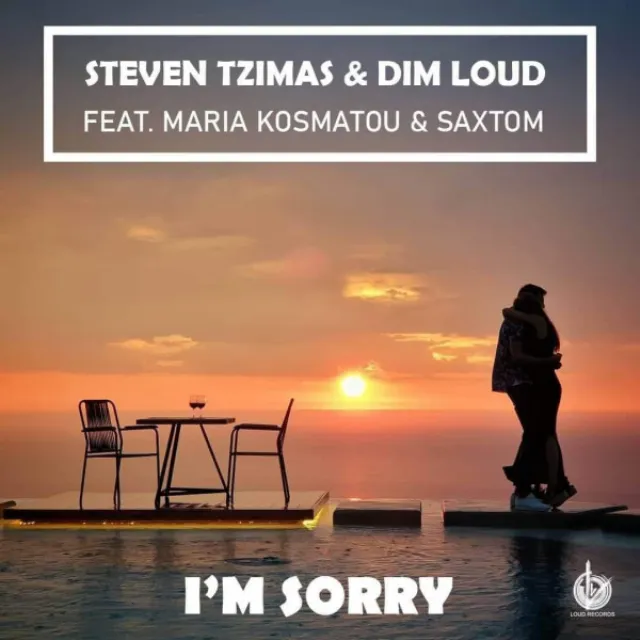 I'm Sorry (Radio Edit)