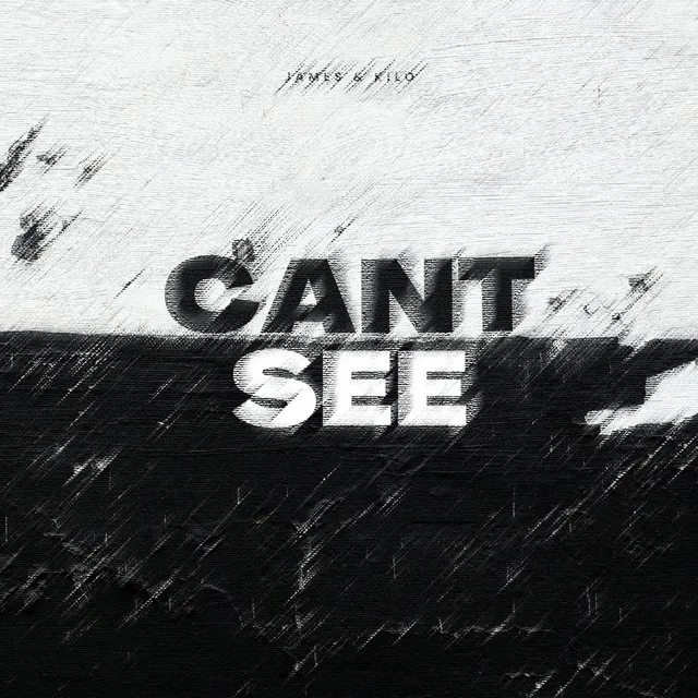 CANT SEE