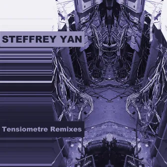 Tensiometre (Remixes) by Steffrey Yan