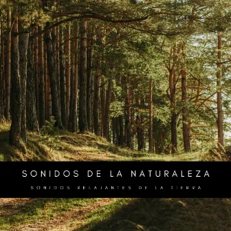 Sonidos De La Naturaleza: Sonidos Relajantes De La Tierra by Sonidos De Pajaros