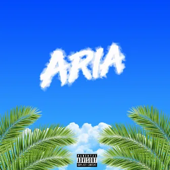 Aria by Pisa