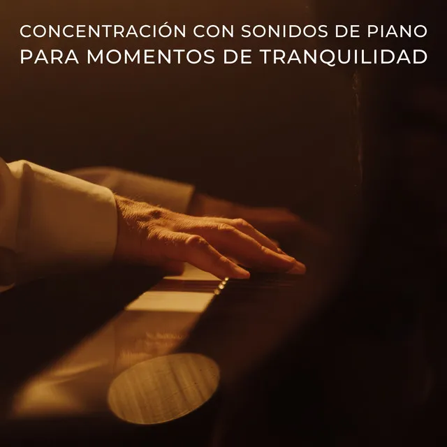 Concentración Con Sonidos De Piano Para Momentos De Tranquilidad