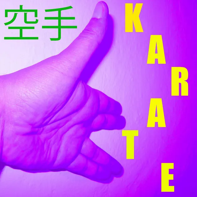 Musica per il Karate Vol. 10