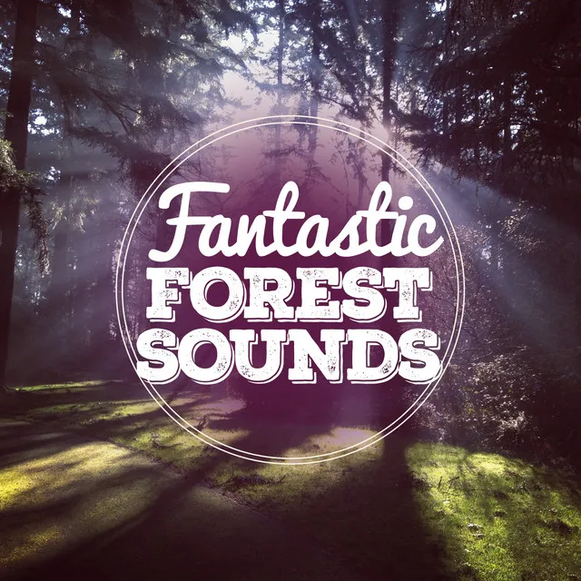 Fantastic Forest Sounds