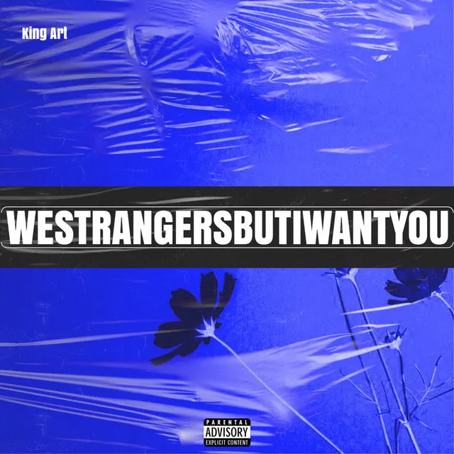 Westrangersbutiwantyou