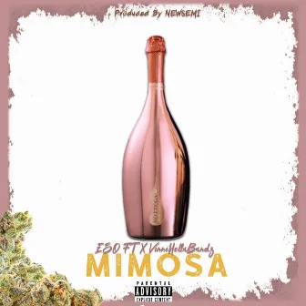 Mimosa by ESO FT