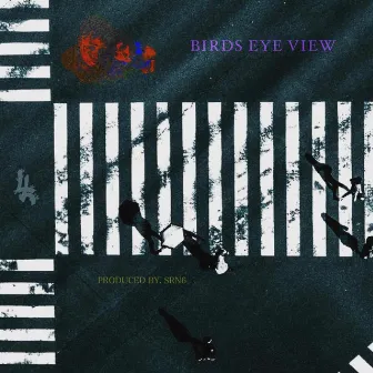 BIRDS EYE VIEW by EL AYCH