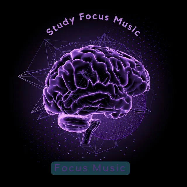 Study Focus Music