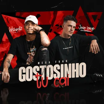 Gostozinho Tu Cai - Mega Funk (Remix) by WSBEATZ