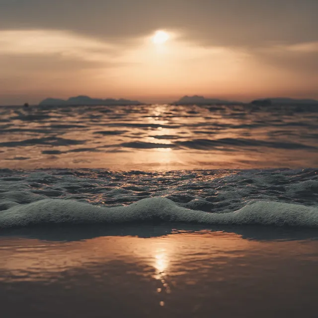 Sleeping by the Shore