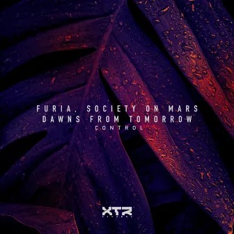 Control by Society on Mars