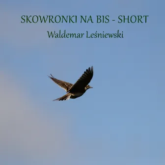 Skowronki na bis short by Waldemar Leśniewski