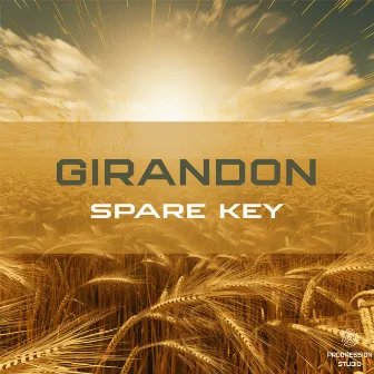 Spare Key by Girandon