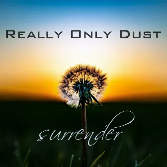 Surrender by Really Only Dust