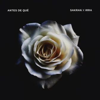 Antes de qué by IRRA