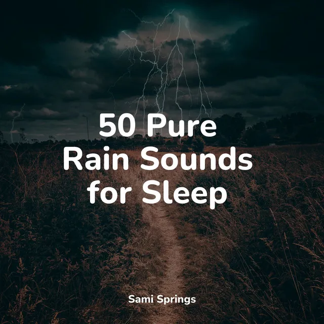 50 Pure Rain Sounds for Sleep